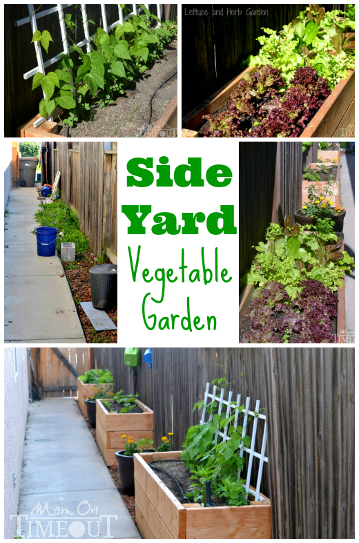 small-space-vegetable-garden-30_7 Малка космическа зеленчукова градина