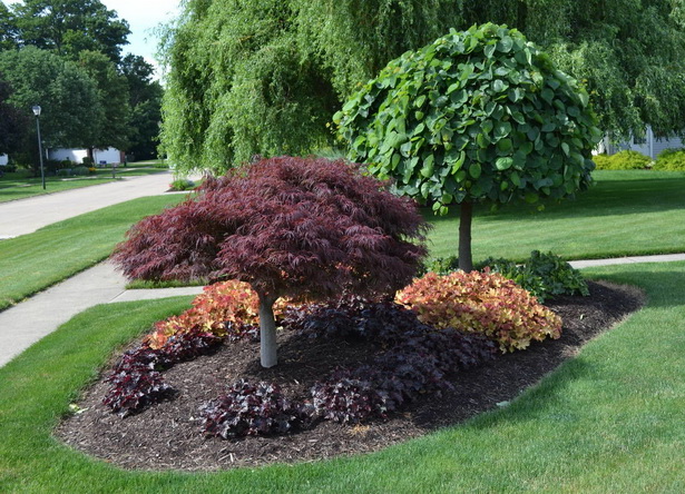 small-trees-for-front-yard-landscaping-38_4 Малки дървета за озеленяване на предния двор