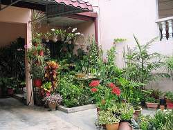 small-tropical-garden-design-03_13 Дизайн на малка тропическа градина