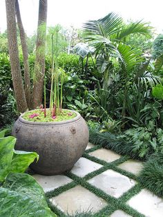 small-tropical-garden-design-03_4 Дизайн на малка тропическа градина