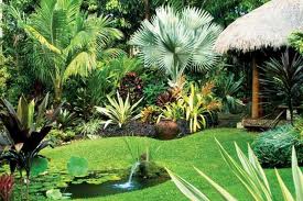 Идеи за малка тропическа градина