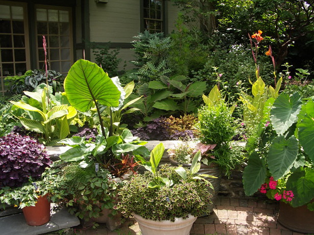 small-tropical-garden-ideas-21_11 Идеи за малка тропическа градина
