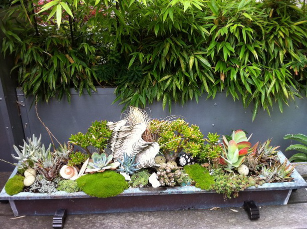 small-tropical-garden-ideas-21_16 Идеи за малка тропическа градина