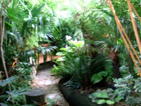 small-tropical-gardens-52_16 Малки тропически градини
