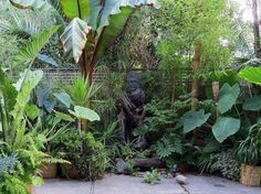small-tropical-gardens-52_2 Малки тропически градини