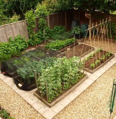 Малки зеленчуци градински идеи