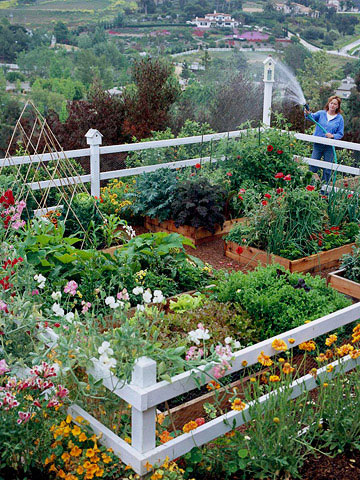 small-vegetable-garden-design-ideas-52_6 Малки идеи за дизайн на зеленчукова градина
