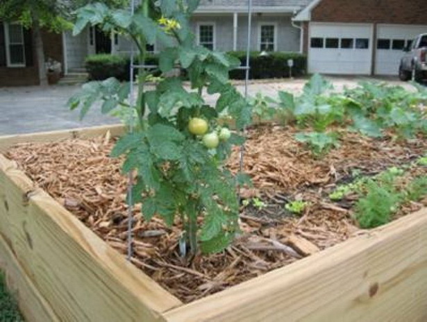 small-vegetable-garden-design-ideas-52_7 Малки идеи за дизайн на зеленчукова градина