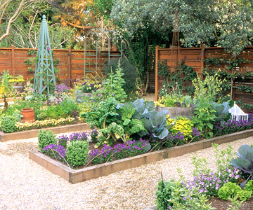 small-vegetable-garden-design-34_3 Дизайн на малка зеленчукова градина