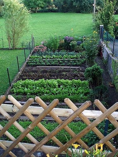 small-vegetable-garden-ideas-10_15 Малки идеи за зеленчукова градина