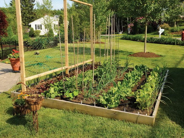 small-vegetable-gardens-ideas-40_14 Идеи за малки зеленчукови градини