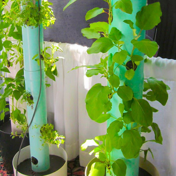 small-vegetable-gardens-ideas-40_18 Идеи за малки зеленчукови градини