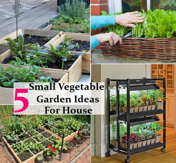 small-vegetable-gardens-ideas-40_9 Идеи за малки зеленчукови градини