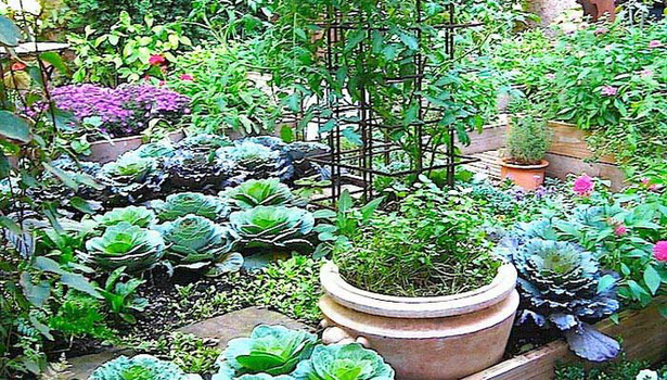 small-vegetable-gardens-38_14 Малки зеленчукови градини