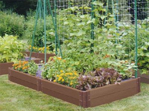small-veggie-garden-ideas-34_3 Идеи за малка зеленчукова градина