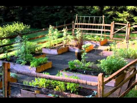 small-veggie-garden-ideas-34_5 Идеи за малка зеленчукова градина