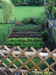 Малка зеленчукова градина