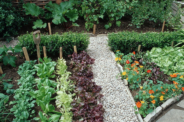 small-veggie-gardens-93_2 Малки зеленчукови градини