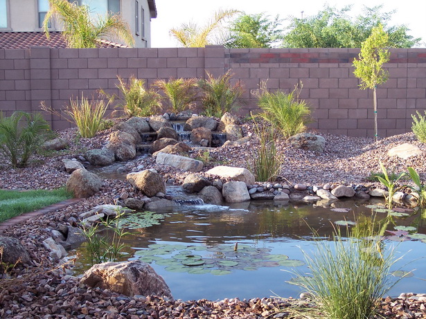 small-yard-desert-landscaping-ideas-44_16 Малък двор пустинни идеи за озеленяване