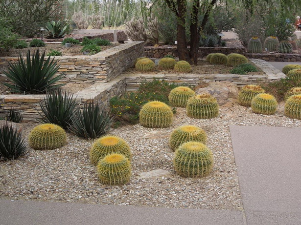 small-yard-desert-landscaping-ideas-44_9 Малък двор пустинни идеи за озеленяване