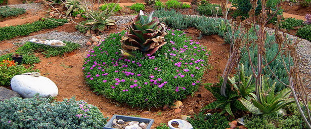 south-african-garden-design-ideas-17_6 Южноафрикански идеи за градински дизайн