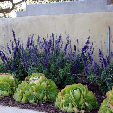 southern-california-front-yard-landscaping-ideas-41_14 Южна Калифорния преден двор идеи за озеленяване