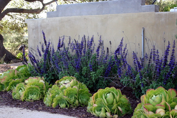 southern-california-front-yard-landscaping-ideas-41_19 Южна Калифорния преден двор идеи за озеленяване