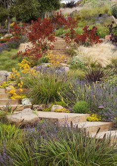 steep-front-yard-landscaping-ideas-90_11 Стръмни идеи за озеленяване на предния двор