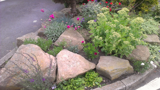 Камъни за алпинеум градина