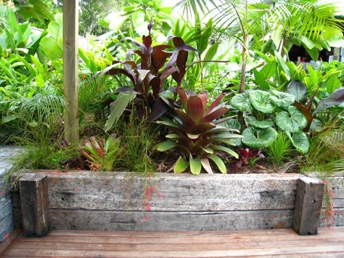 subtropical-garden-design-ideas-83 Субтропични идеи за дизайн на градината
