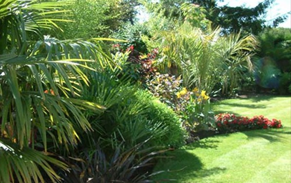 subtropical-garden-design-ideas-83_17 Субтропични идеи за дизайн на градината