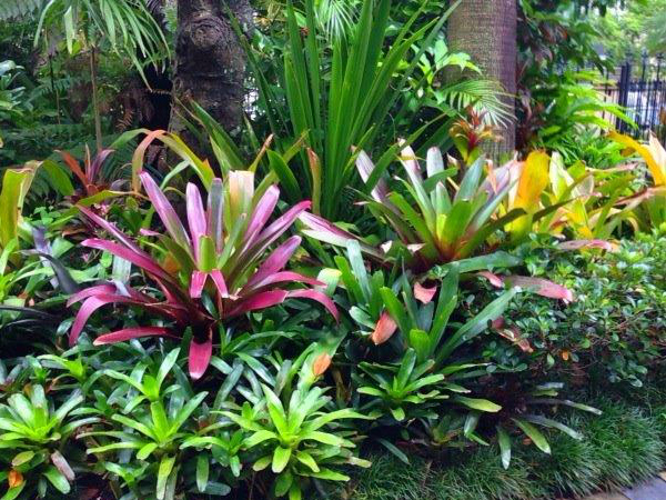 subtropical-garden-design-ideas-83_3 Субтропични идеи за дизайн на градината