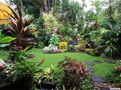 subtropical-garden-design-61_10 Субтропичен градински дизайн