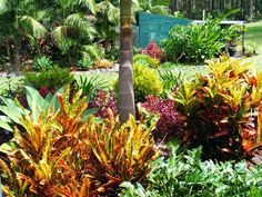 subtropical-garden-design-61_20 Субтропичен градински дизайн