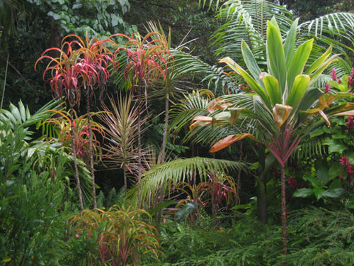 subtropical-garden-design-61_5 Субтропичен градински дизайн