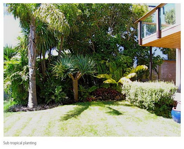 subtropical-garden-design-61_6 Субтропичен градински дизайн