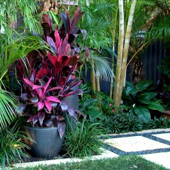 subtropical-garden-design-61_7 Субтропичен градински дизайн