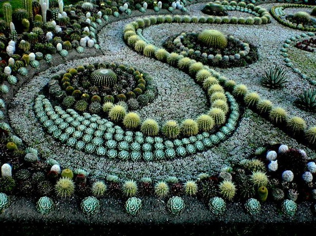 succulent-garden-design-71_10 Сочен градински дизайн