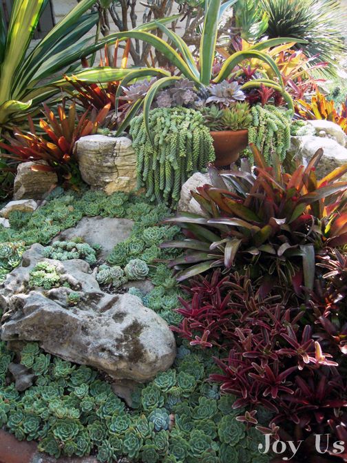 succulent-garden-design-71_5 Сочен градински дизайн