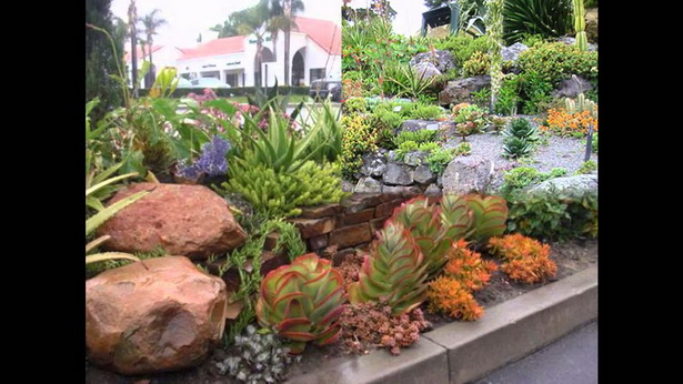 succulent-rock-garden-ideas-26_5 Сочен рок градина идеи