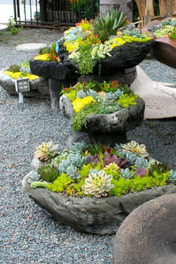 succulent-rock-garden-ideas-26_8 Сочен рок градина идеи