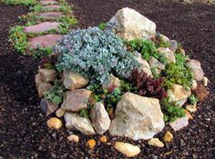 succulent-rock-garden-ideas-26_9 Сочен рок градина идеи