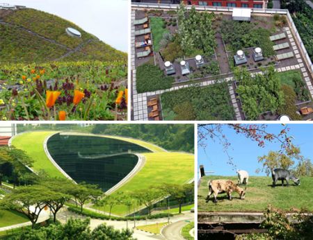 sustainable-landscape-design-88_16 Устойчив ландшафтен дизайн