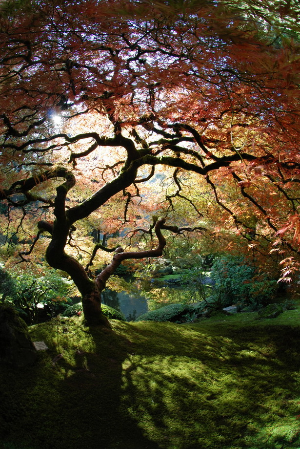 the-art-of-the-japanese-garden-28_18 Изкуството на японската градина