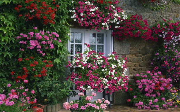 Английската цветна градина