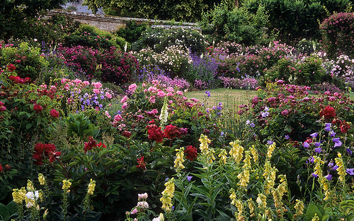 the-english-flower-garden-22_16 Английската цветна градина
