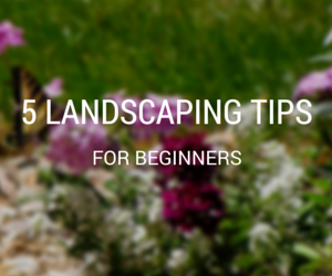 tips-on-landscaping-06 Съвети за озеленяване