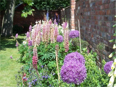 Традиционни английски градински цветя