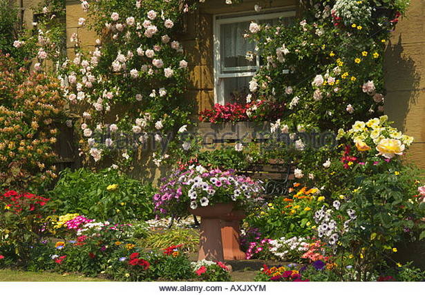 traditional-english-garden-flowers-83_12 Традиционни английски градински цветя