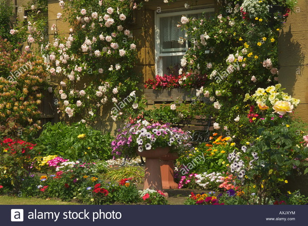 traditional-english-garden-flowers-83_20 Традиционни английски градински цветя